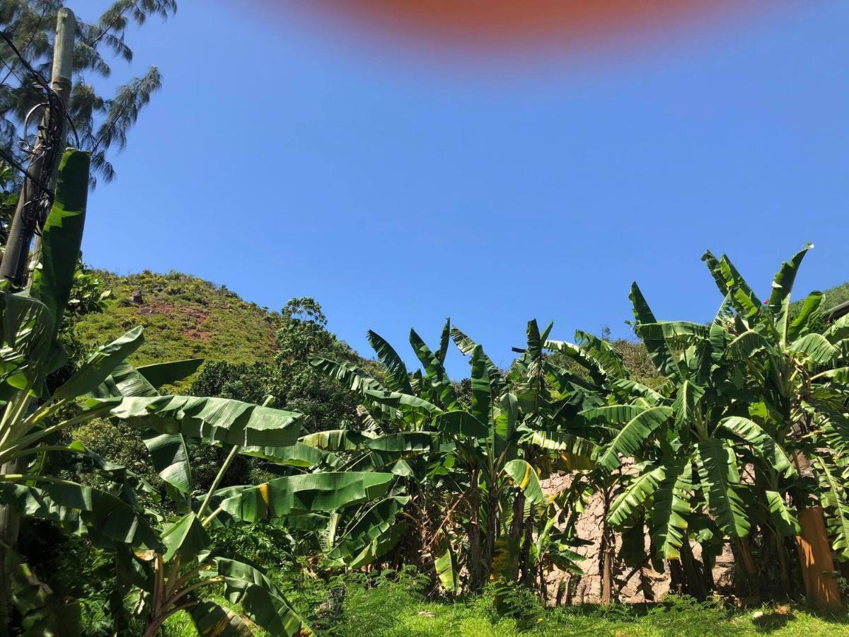 Сasa de vacaciones Mirella Anse Volbert Village